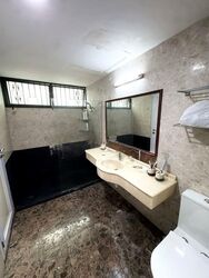 Meralodge (D23), Condominium #539931321